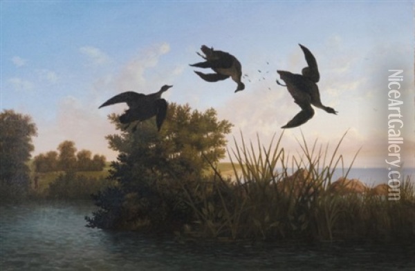 Duck Shooting Oil Painting - Albert Bierstadt