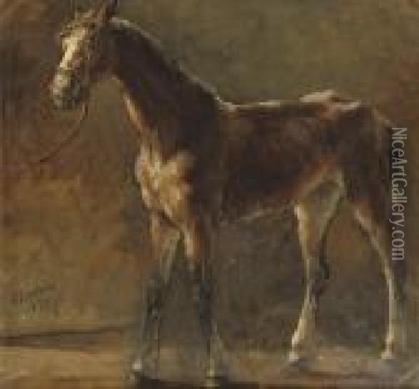 A Brown Foal Oil Painting - Otto Eerelman