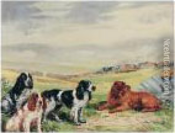 Springer Spaniels At Rest Oil Painting - Binks, R. Ward