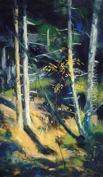 Maine Landscape Oil Painting - Robert Henri