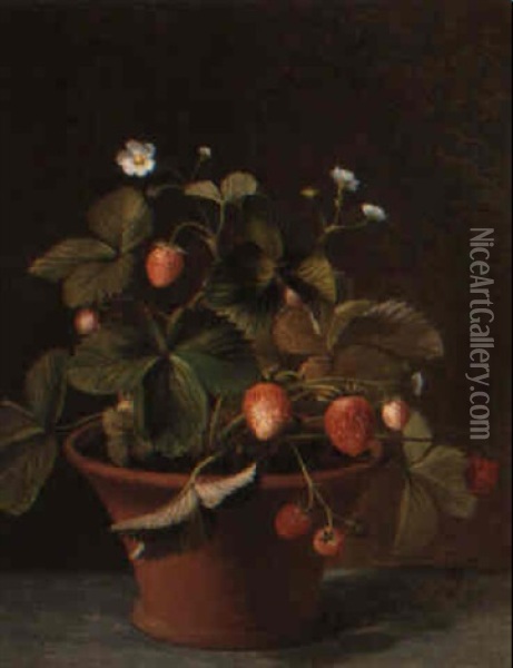 A Wild Strawberry Plant Oil Painting - Otto Didrik Ottesen