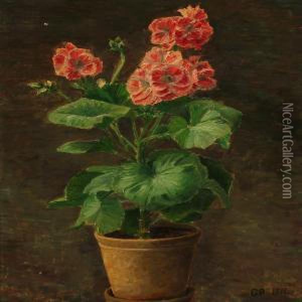 A Begonia Oil Painting - Hans Gyde Petersen