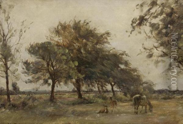 Horses Grazing Oil Painting - William Darling McKay