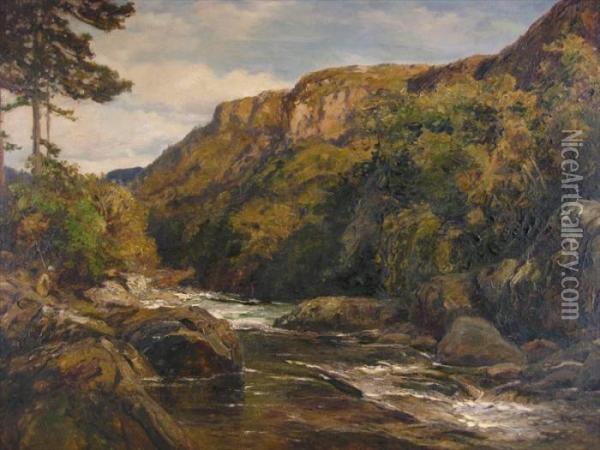 Landscape With Mountain Stream And Fisherman Oil Painting - Thomas Huson