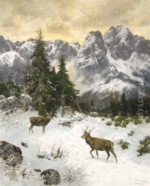 Zwei Kapitale Hirsche An Einem Wintermorgen Im Gebirge Oil Painting - Josef Schmitzberger