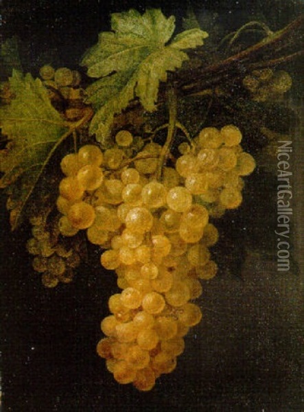 A Bunch Of White Grapes On The Vine Oil Painting - Francisco Jose Pablo Lacoma