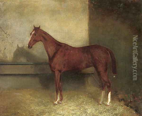 A chestnut hunter in a stable Oil Painting - English School