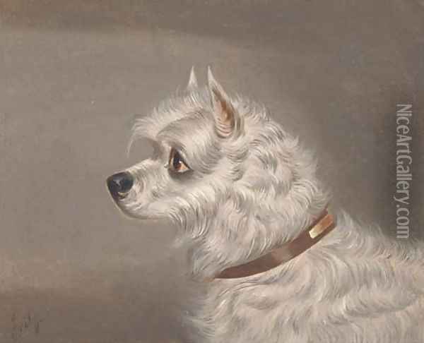 A skye terrier Oil Painting - John Alfred Wheeler