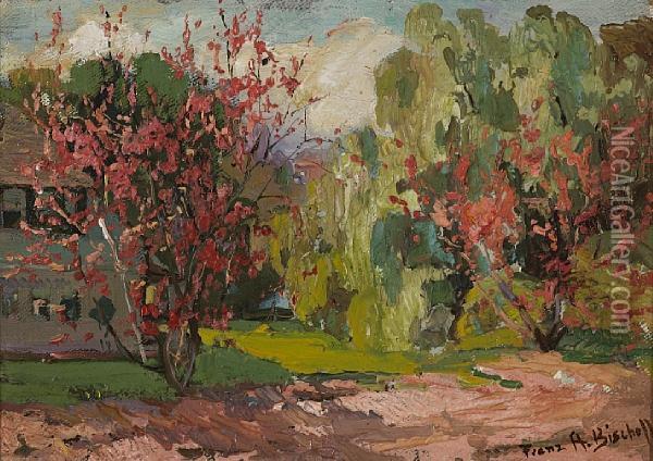 Blooming Trees Oil Painting - Franz Bischoff