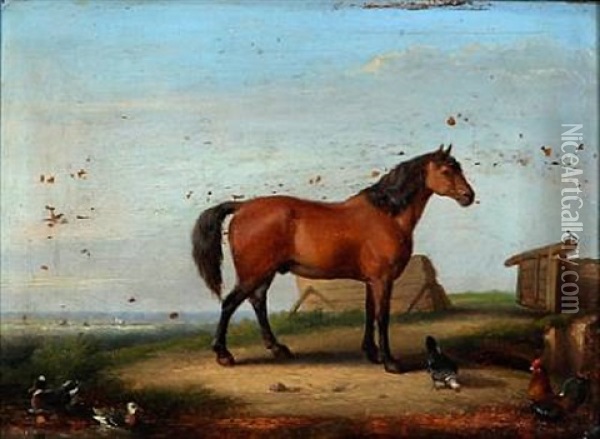 A Brown Stallion With Ducks And Chickens Oil Painting - Francois Vandeverdonck