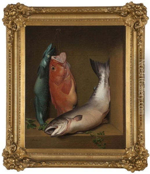 Still Life With Ling Cod, Red Vermillion And Salmon Oil Painting - Samuel Marsden Brookes
