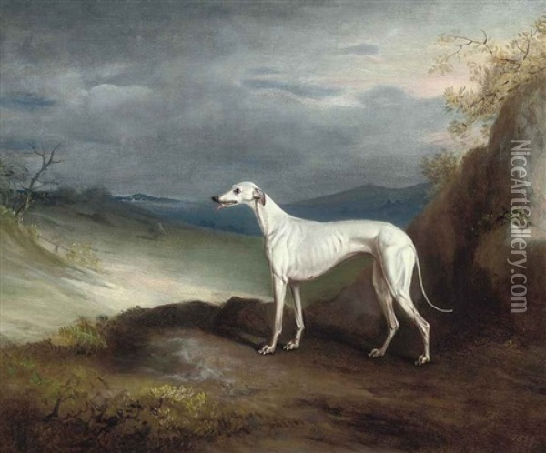 Snowstorm, A Greyhound, In An Extensive Landscape Oil Painting - John E. Ferneley