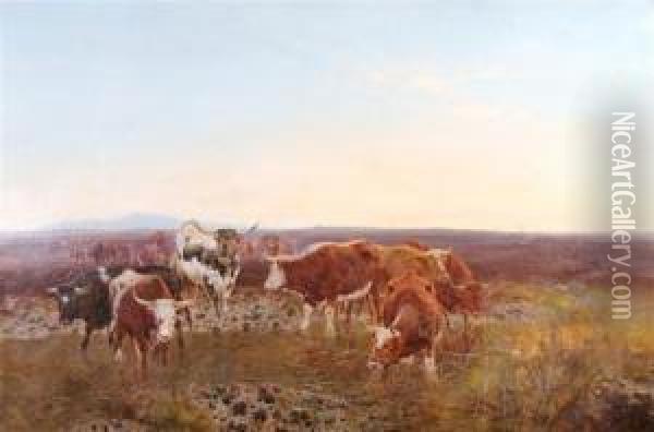 Cows Grazing Oil Painting - William Watson