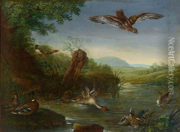 Stockenten Am Teich Oil Painting - Johann Elias Ridinger