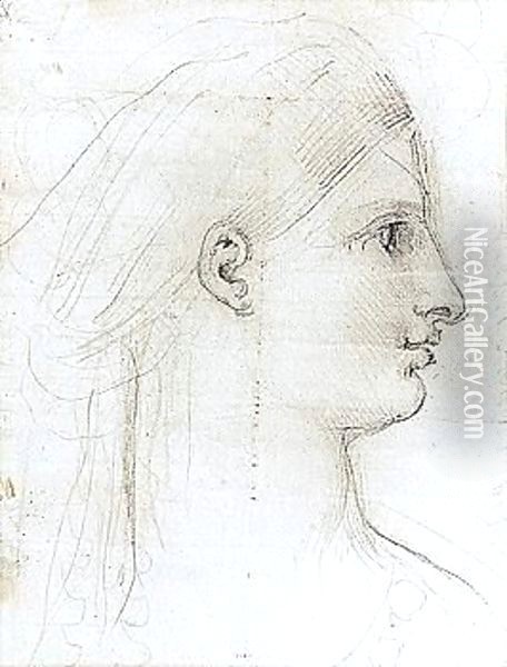 Portrait Of A Lady Oil Painting - Johann Henry Fuseli