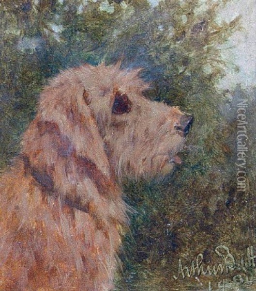 Animals - Study (3 Works In 1 Frame) Oil Painting - Arthur Batt