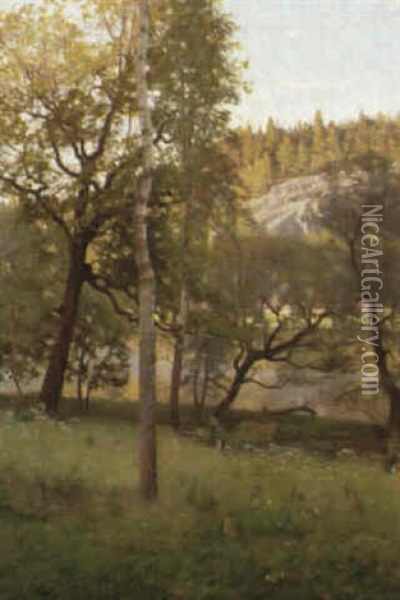 Solbelyst Strandparti Oil Painting - Karl Cederberg