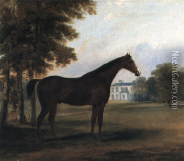 Dandy, A Bay Hunter In The Grounds Of Sheephill, Castleknock, Co. Dublin Oil Painting - William Brocas