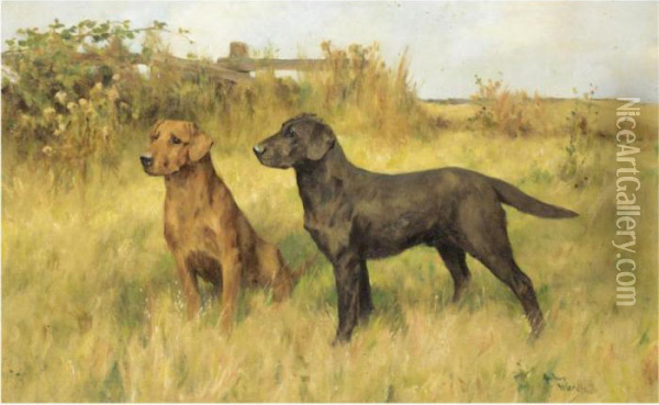 Two Labradors Oil Painting - Arthur Wardle