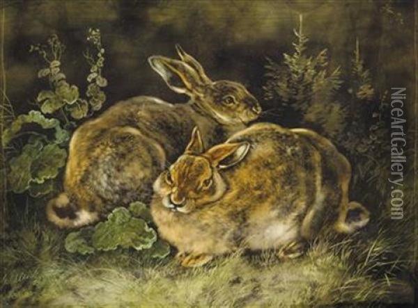 Zwei Hasen Oil Painting - August Schleich