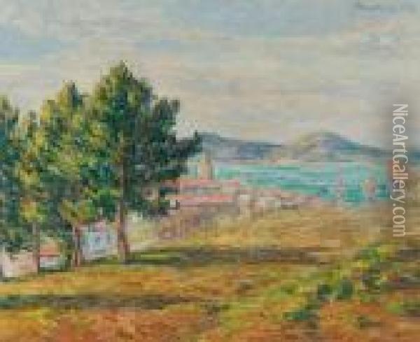 Saint-tropez, 
Vue De Lacitadelle Oil Painting - Francis Picabia