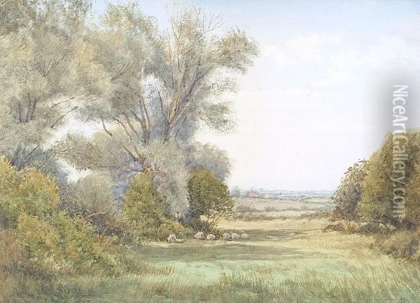 Sheep In The Shade Of Trees Oil Painting - Henry John Sylvester Stannard