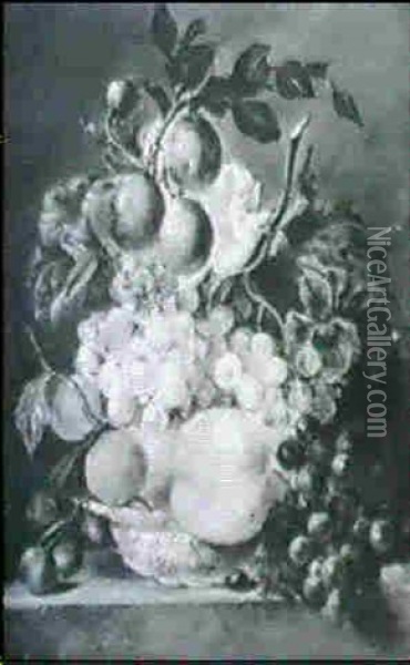 Nature Morte De Fruits Oil Painting - Petronella Woensel