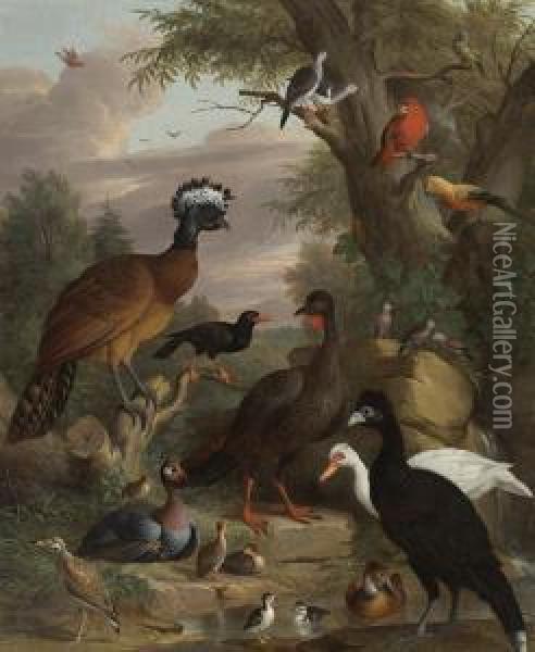 An Assembly Of Birds In A Parkland Landscape, Including A Blue Peacock Oil Painting - Jakob Bogdani Eperjes C
