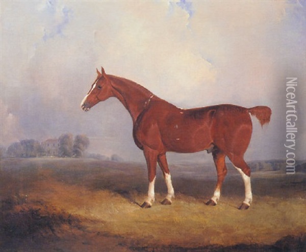 The Favourite Hunter Oil Painting - Charles Bilger Spalding