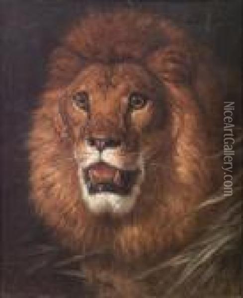 The Lion Oil Painting - Filippo Palizzi
