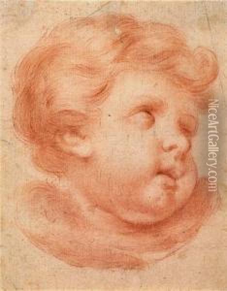 Head Of An Angel Oil Painting - Benedetto Luti