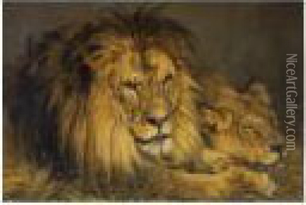Lion And Lioness In Repose Oil Painting - Geza Vastagh