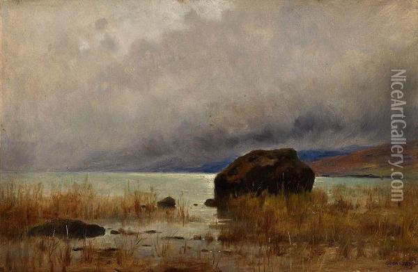 Uferpartie Am Neuenburgersee Oil Painting - Gustave Castan