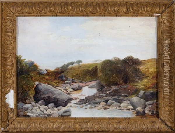 Rocky Stream Oil Painting - William Heath Wilson