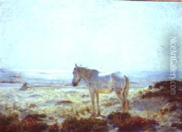 The Old White Horse Of The Dunes Oil Painting - Henry Rankin Poore