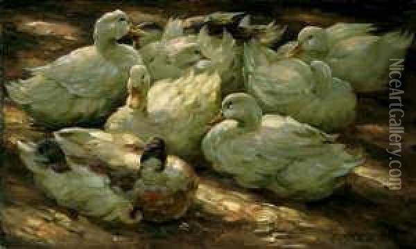Acht Ruhende Enten. Oil Painting - Alexander Max Koester
