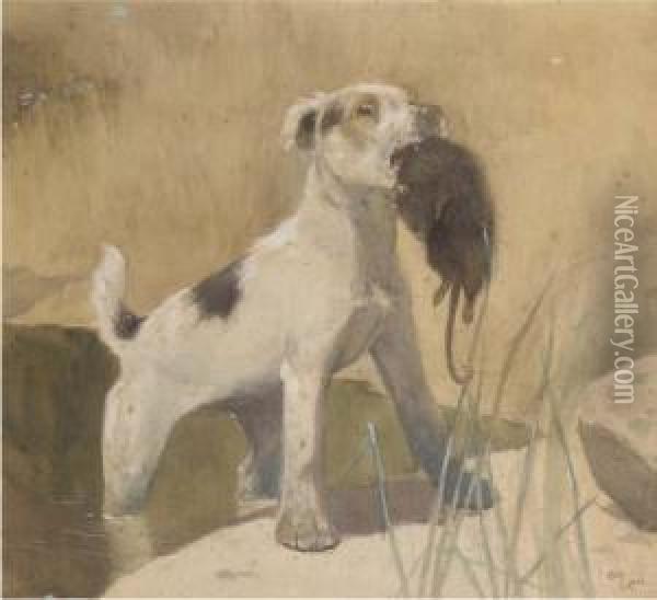 Country Dog; And Town Dog Oil Painting - Cecil Charles Aldin