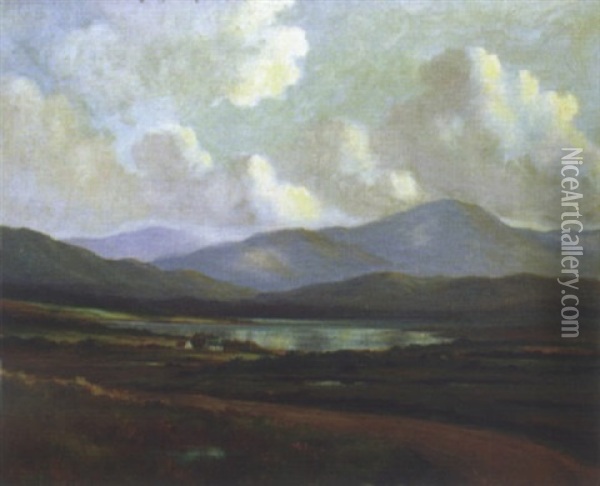 Near Ballinahinch Connemara Oil Painting - Douglas Alexander