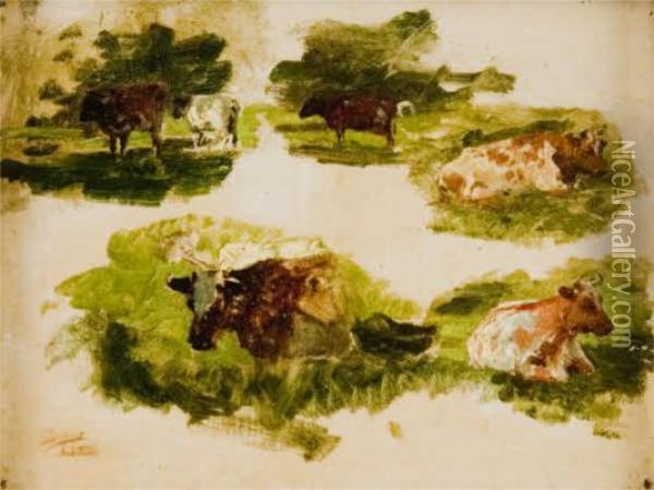 Studio Di Mucche Oil Painting - Beppe Ciardi