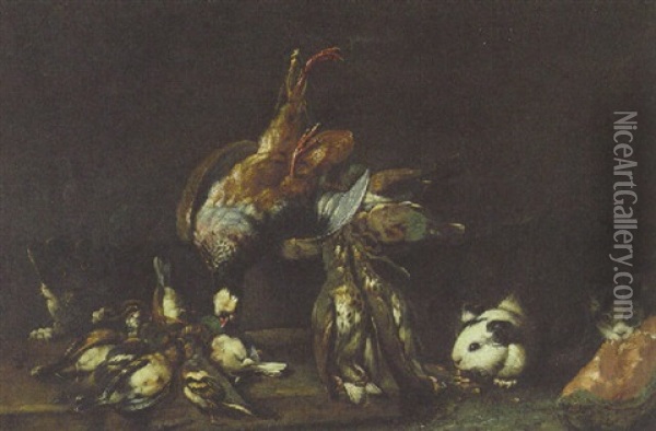 A Partridge, Quails, Finches And Other Birds On A Ledge With A Cat And Guinea-pigs By A Slice Of Water Melon Oil Painting - Giovanni Agostino (Abate) Cassana