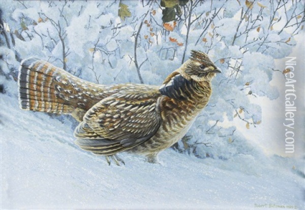 Fresh Snowfall - Ruffed Grouse Oil Painting - Robert Bateman