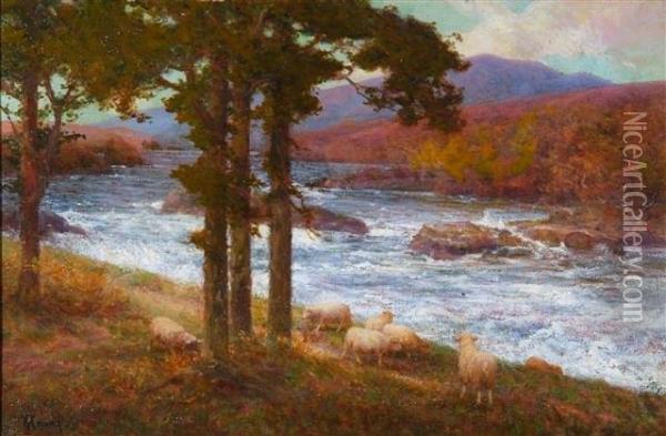 The River Wye, Near Builth, South Wales Oil Painting - Alexander Young