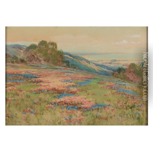 Field Of Flowers Oil Painting - Arthur William Best
