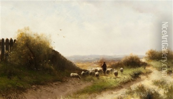 Shepherd With Flock Of Sheep In A Heather Landscape Oil Painting - Cornelis Westerbeek Jr.