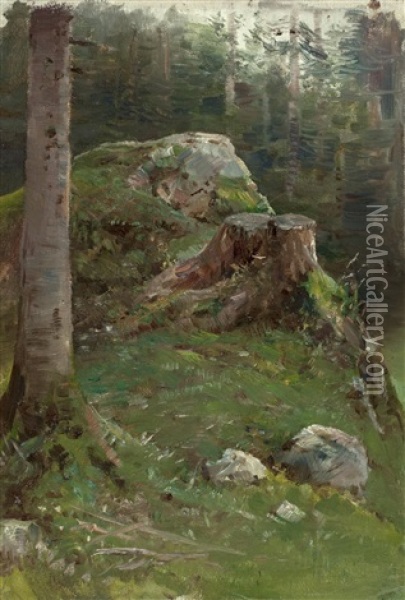 Fels Mit Baumstumpf Im Wald Oil Painting - Julius von Blaas