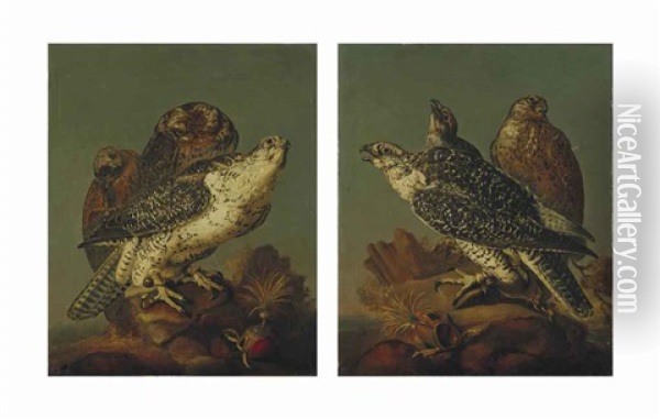 Faucons Et Milans (pair) Oil Painting - Christiaan Luycks