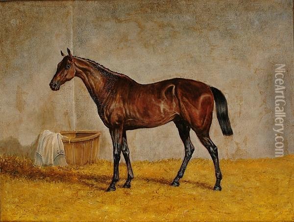 Portrait Of Horse In A Stable Oil Painting - Henry Frederick Lucas-Lucas