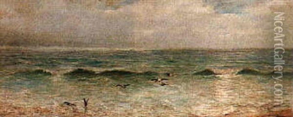 Seagulls Feeding In The Breakwater Oil Painting - Henry Moore