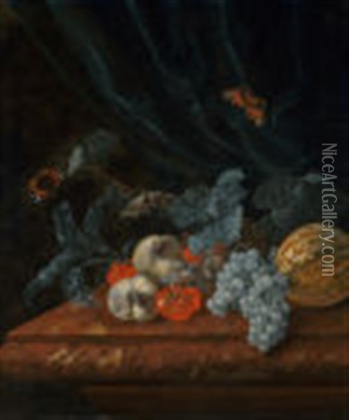 Still Life With Grapes, Peaches, A Melon, And Other Fruit On A Marble Ledge With Two Butterflies Oil Painting - Willem Van Aelst