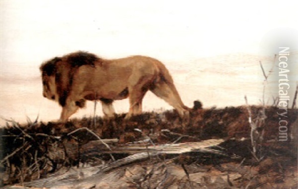 A Lion Stalking Oil Painting - Wilhelm Friedrich Kuhnert